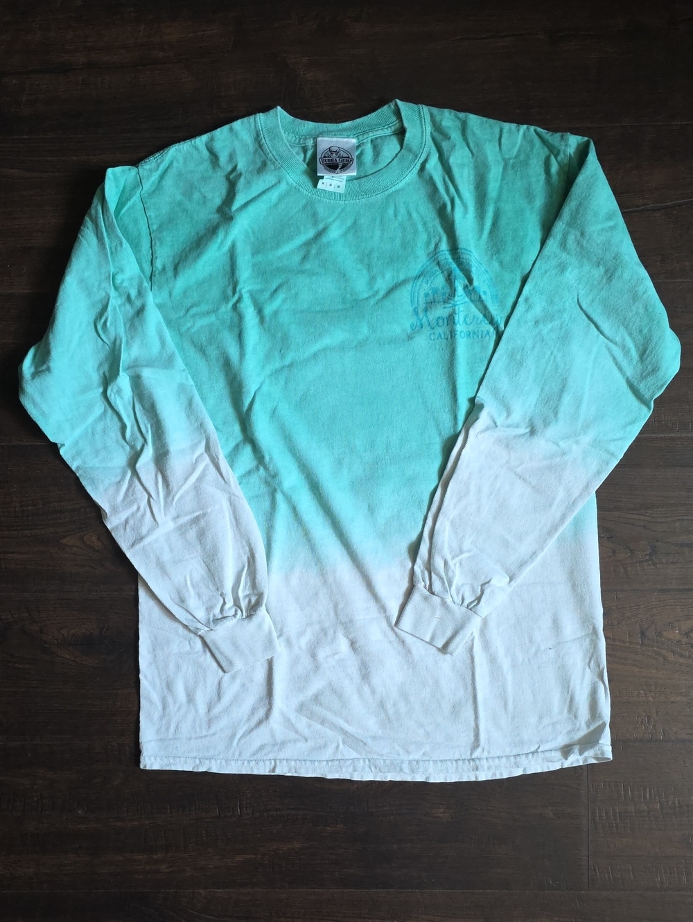 Bubba Gump's Ombré Mint to White Long Sleeve Tee
